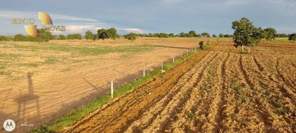 Fazenda à venda de 1.000 ha em Poconé, MT, Brasil