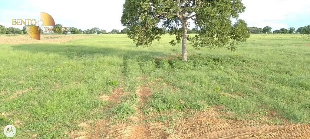 Fazenda à venda de 1.000 ha em Poconé, MT, Brasil