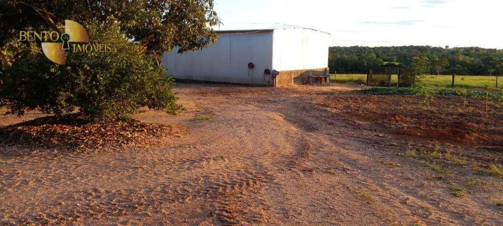 Fazenda à venda de 1.000 ha em Poconé, MT, Brasil