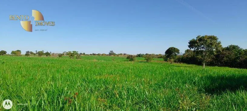 Fazenda à venda de 1.000 ha em Poconé, MT, Brasil