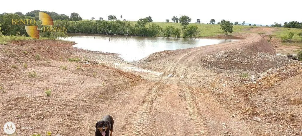 Fazenda à venda de 1.000 ha em Poconé, MT, Brasil