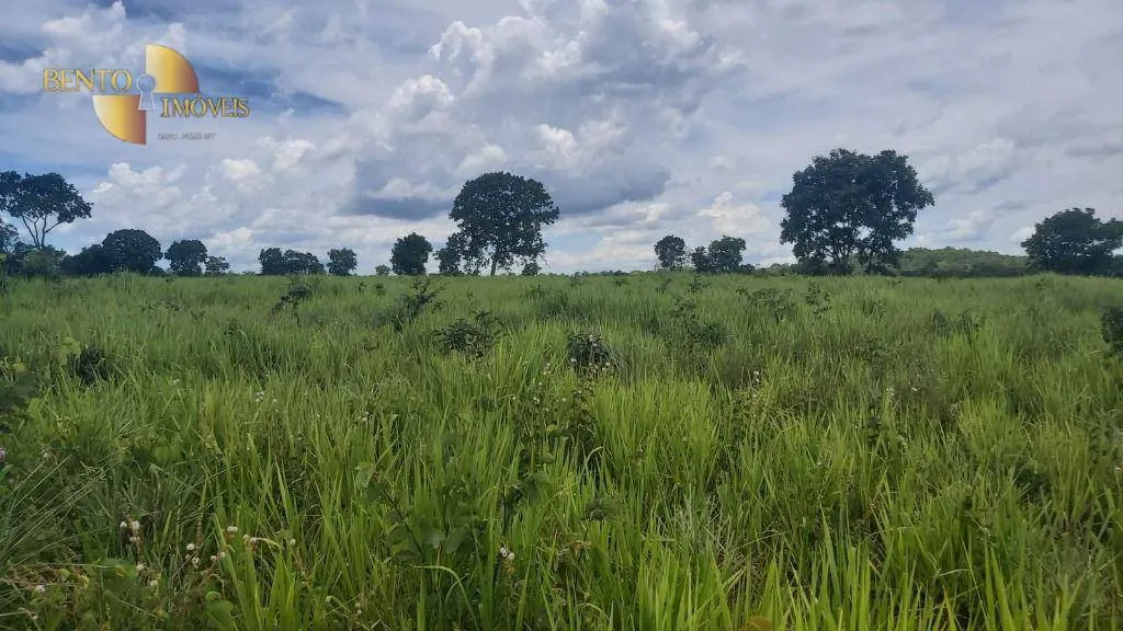 Fazenda à venda de 1.000 ha em Poconé, MT, Brasil