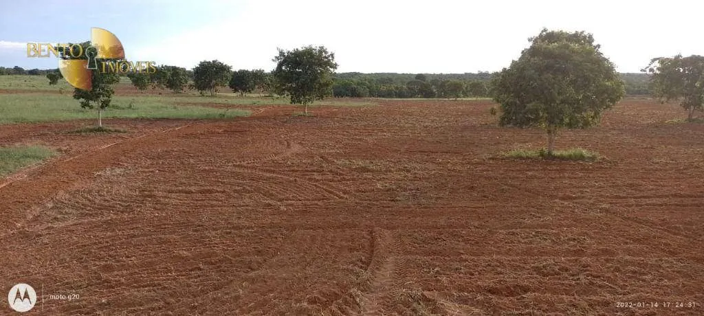 Fazenda à venda de 1.000 ha em Poconé, MT, Brasil