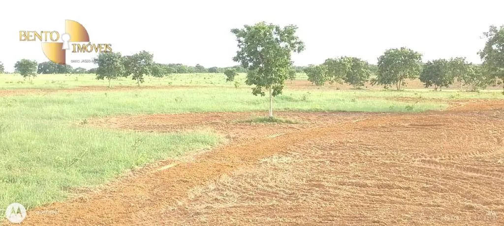 Fazenda à venda de 1.000 ha em Poconé, MT, Brasil