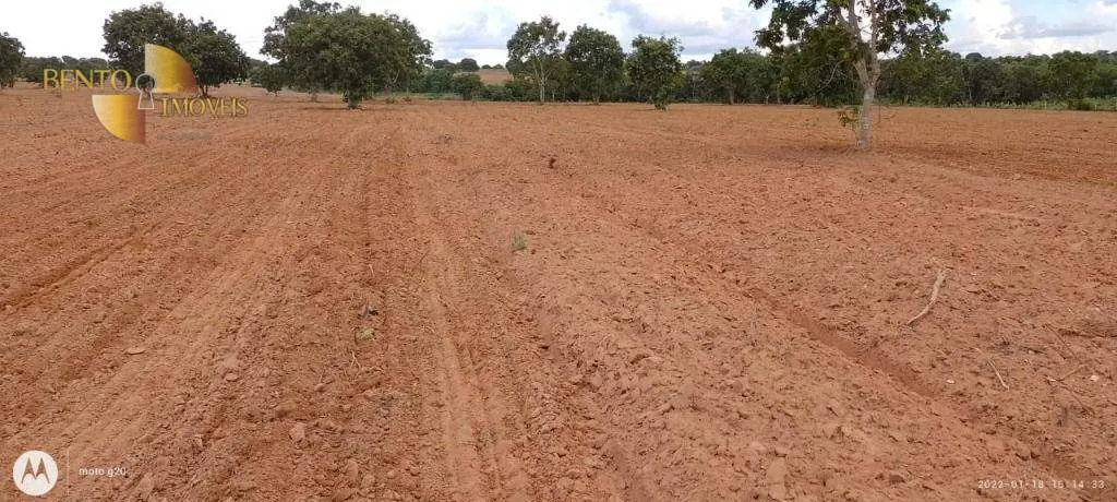 Fazenda à venda de 1.000 ha em Poconé, MT, Brasil