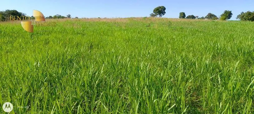 Fazenda à venda de 1.000 ha em Poconé, MT, Brasil