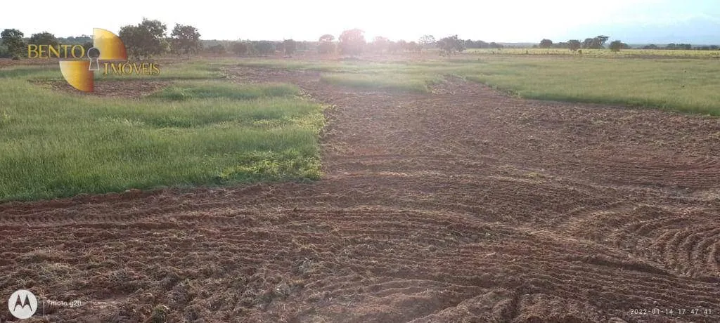 Fazenda à venda de 1.000 ha em Poconé, MT, Brasil