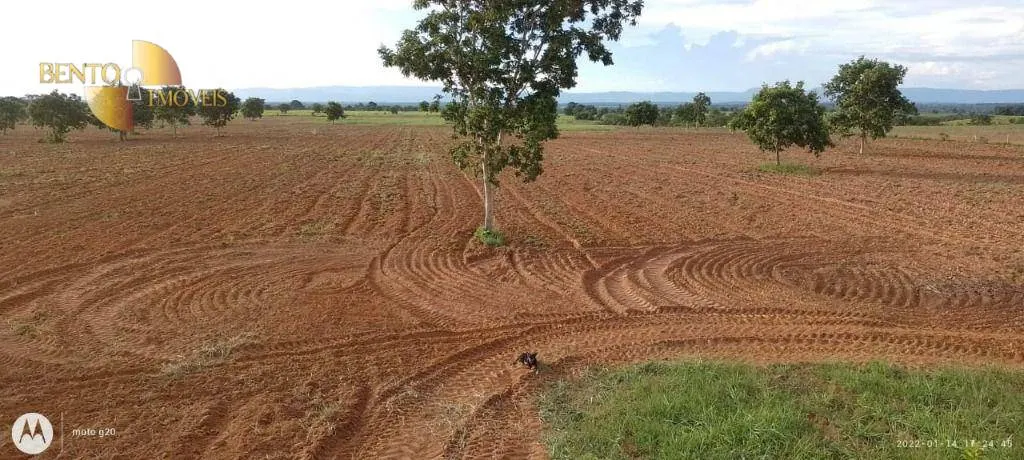 Fazenda à venda de 1.000 ha em Poconé, MT, Brasil