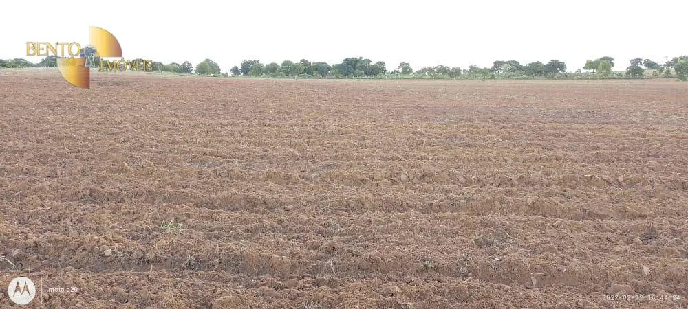 Fazenda à venda de 1.000 ha em Poconé, MT, Brasil