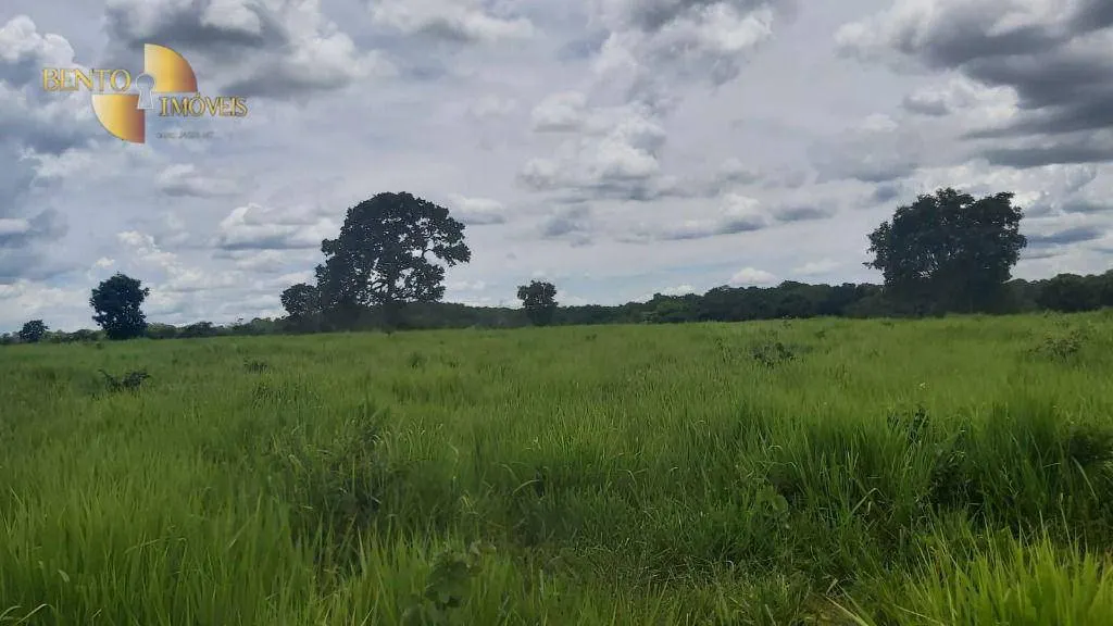 Fazenda à venda de 1.000 ha em Poconé, MT, Brasil