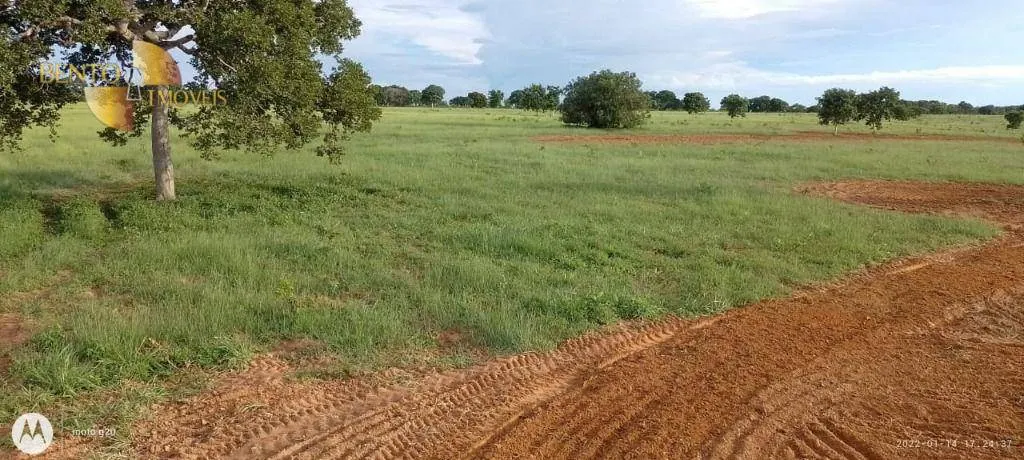 Fazenda à venda de 1.000 ha em Poconé, MT, Brasil