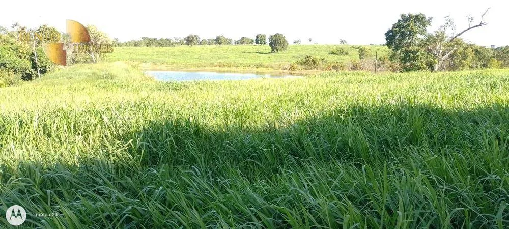Fazenda à venda de 1.000 ha em Poconé, MT, Brasil