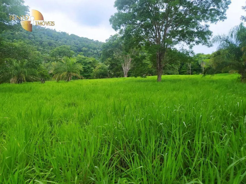 Fazenda à venda de 100 ha em Cuiabá, MT, Brasil