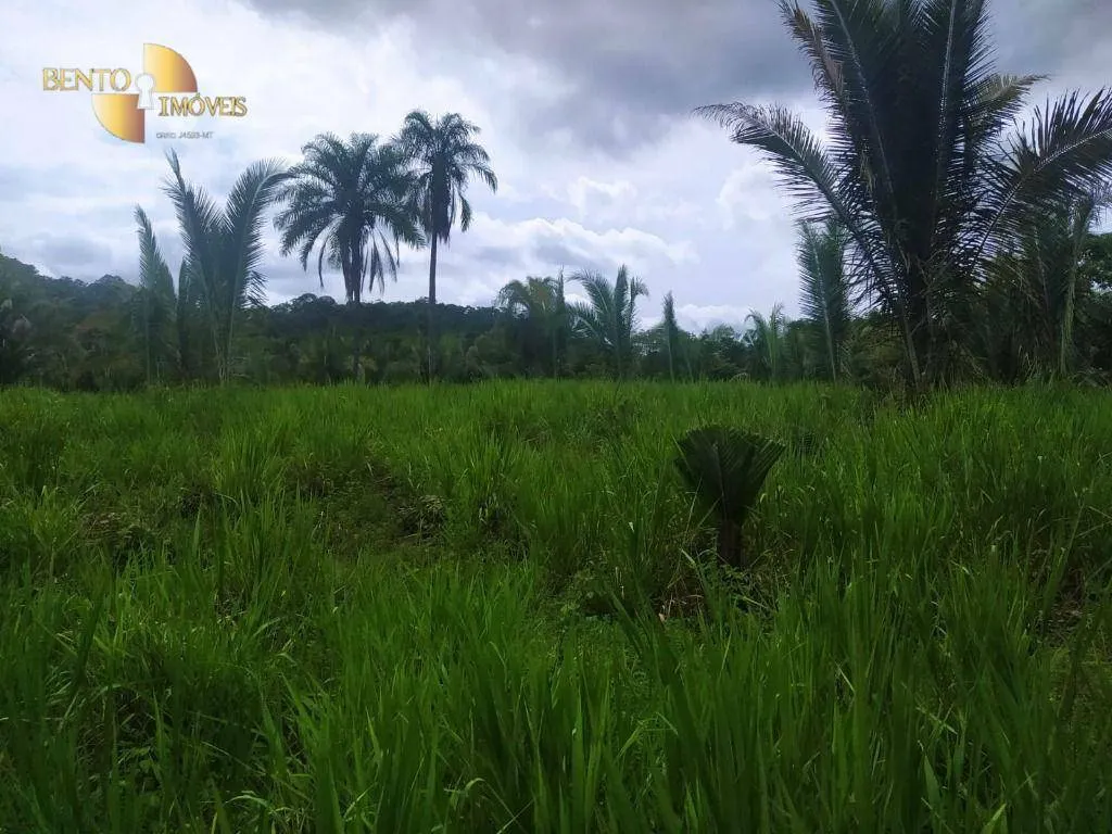 Fazenda à venda de 100 ha em Cuiabá, MT, Brasil