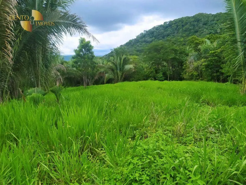 Fazenda à venda de 100 ha em Cuiabá, MT, Brasil