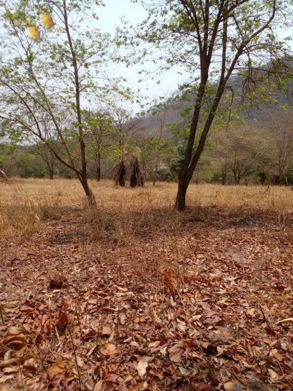 Fazenda à venda de 100 ha em Cuiabá, MT, Brasil