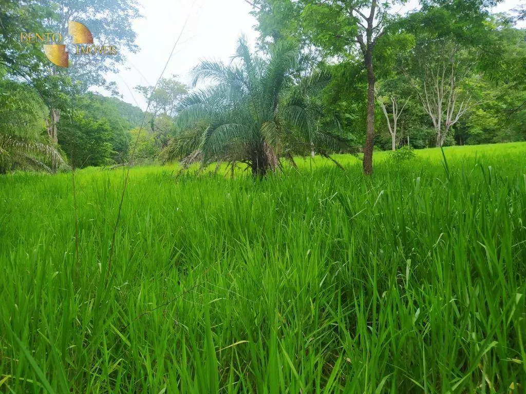 Fazenda à venda de 100 ha em Cuiabá, MT, Brasil