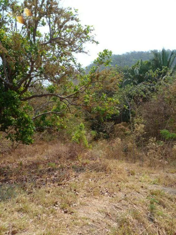 Fazenda à venda de 100 ha em Cuiabá, MT, Brasil