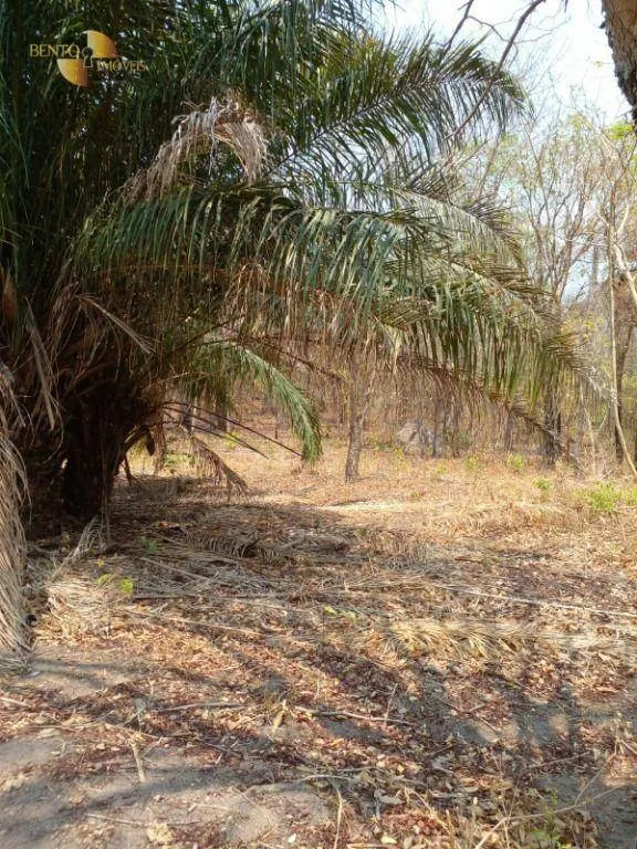 Fazenda à venda de 100 ha em Cuiabá, MT, Brasil