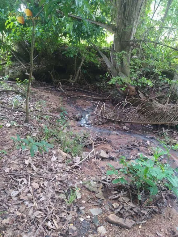 Fazenda à venda de 100 ha em Cuiabá, MT, Brasil