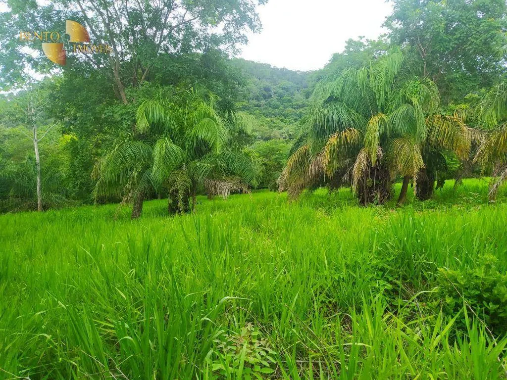 Fazenda à venda de 100 ha em Cuiabá, MT, Brasil