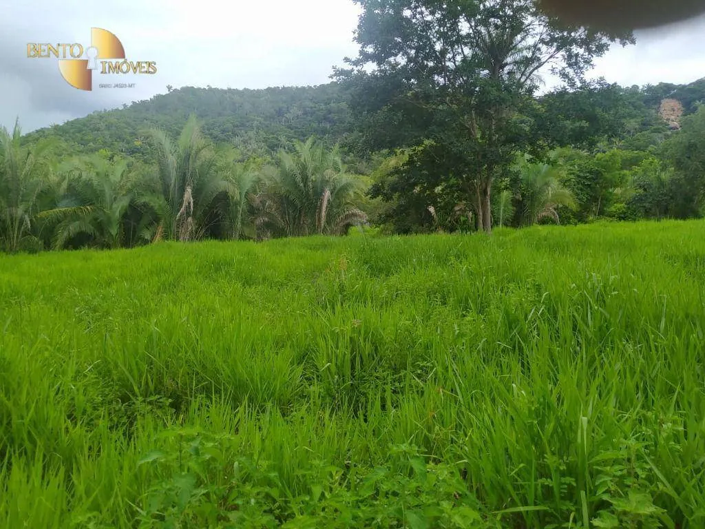 Fazenda à venda de 100 ha em Cuiabá, MT, Brasil
