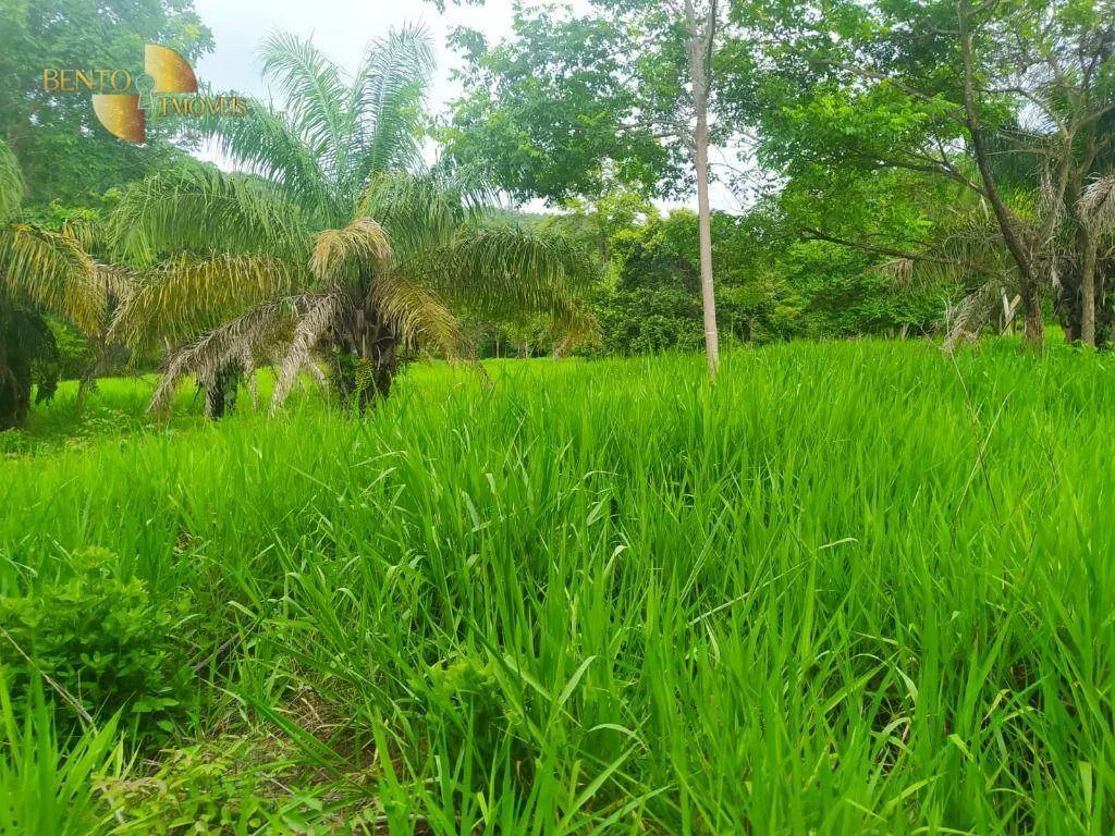 Fazenda à venda de 100 ha em Cuiabá, MT, Brasil