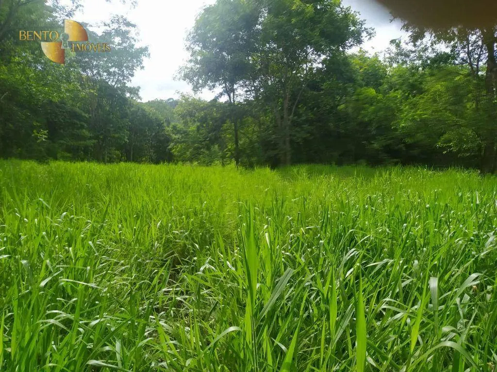 Fazenda à venda de 100 ha em Cuiabá, MT, Brasil