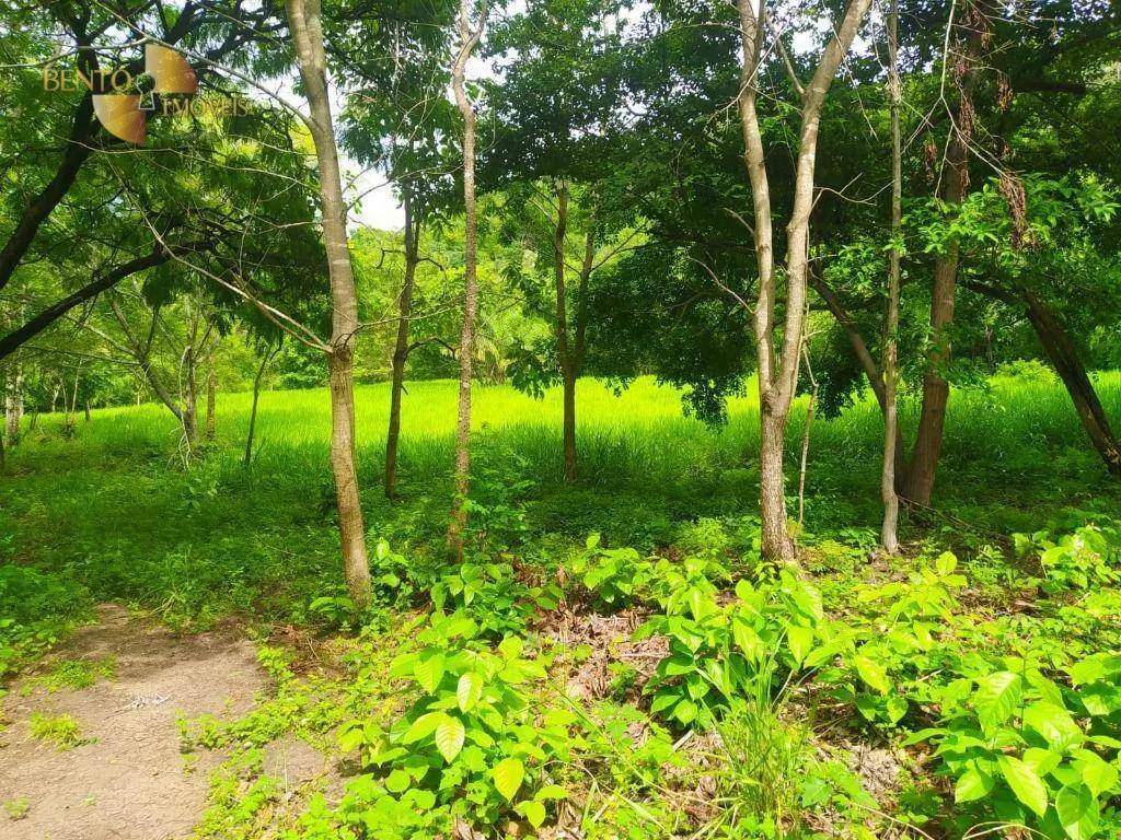Fazenda à venda de 100 ha em Cuiabá, MT, Brasil