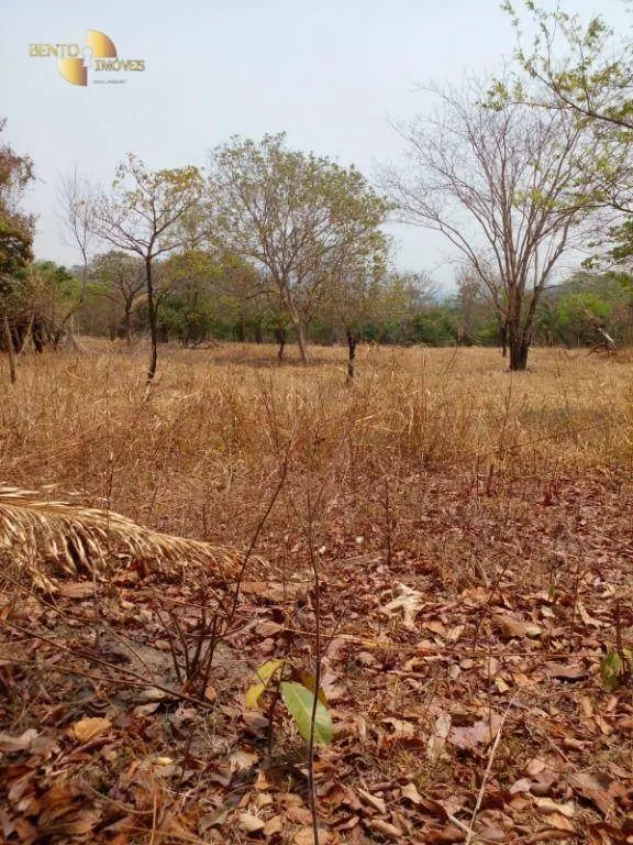 Fazenda à venda de 100 ha em Cuiabá, MT, Brasil