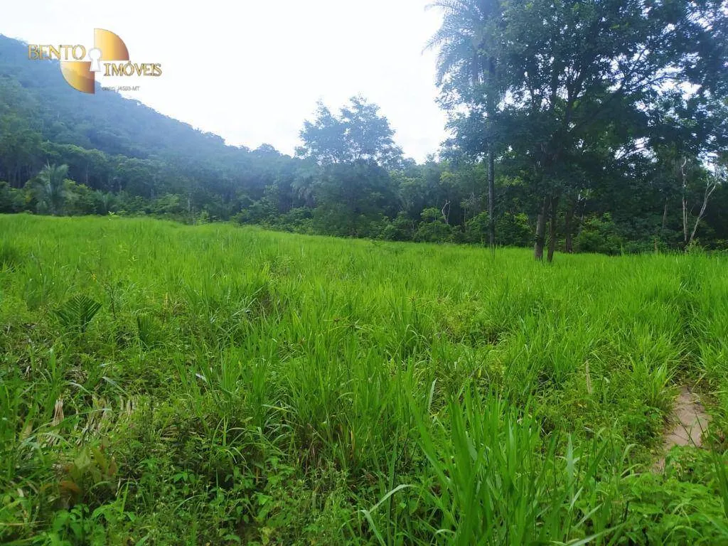 Fazenda à venda de 100 ha em Cuiabá, MT, Brasil