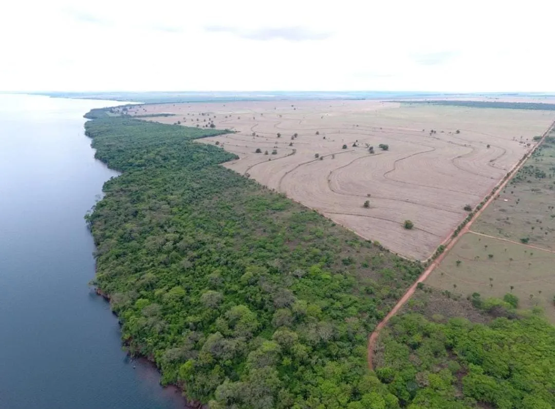 Fazenda à venda de 1.689 ha em Teodoro Sampaio, SP, Brasil