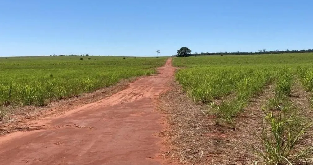 Fazenda à venda de 1.689 ha em Teodoro Sampaio, SP, Brasil