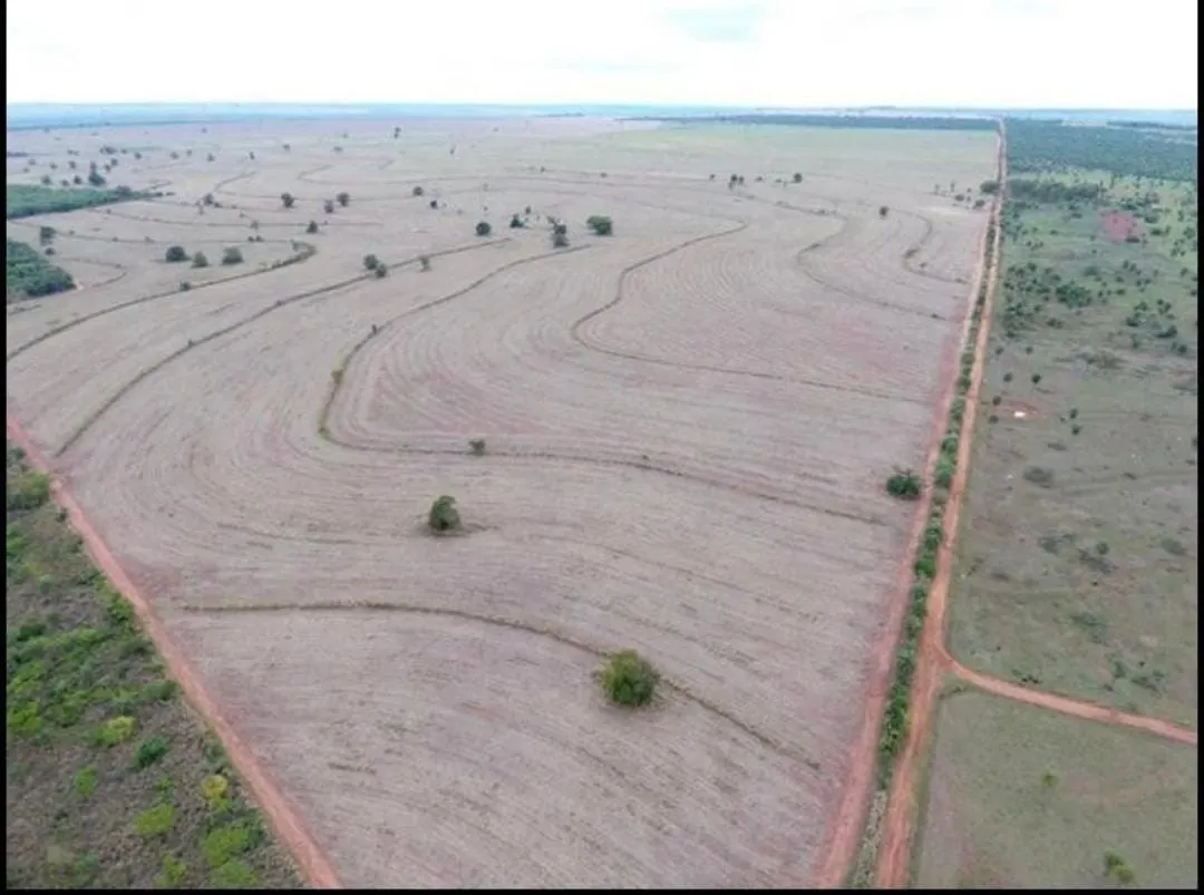 Fazenda à venda de 1.689 ha em Teodoro Sampaio, SP, Brasil