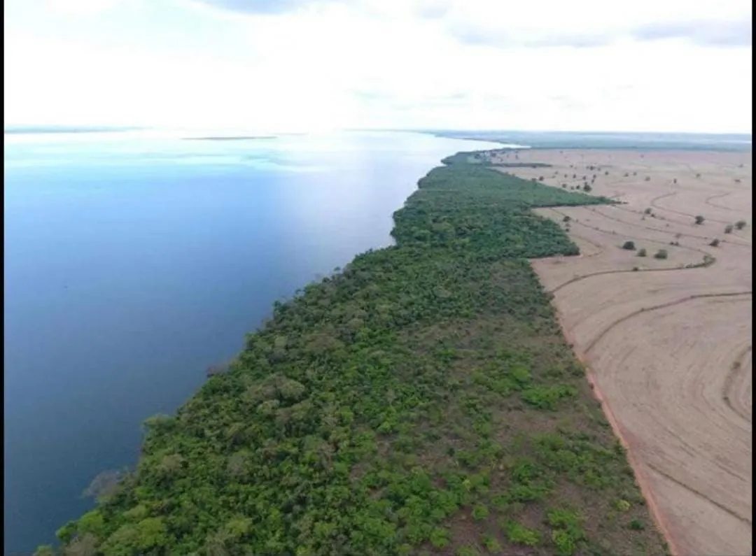 Fazenda à venda de 1.689 ha em Teodoro Sampaio, SP, Brasil