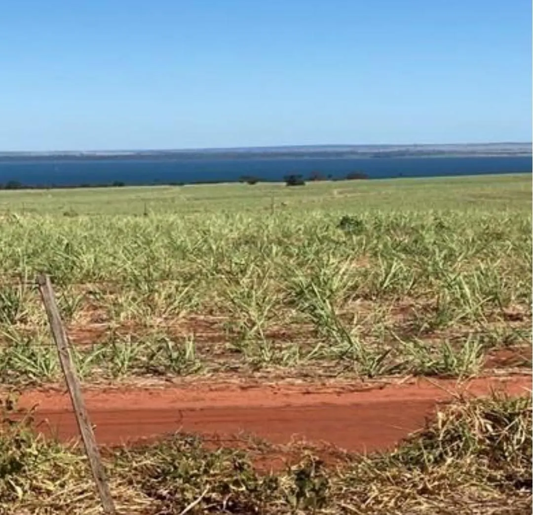 Fazenda à venda de 1.689 ha em Teodoro Sampaio, SP, Brasil