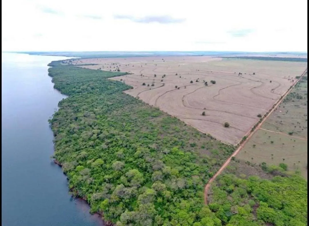 Fazenda à venda de 1.689 ha em Teodoro Sampaio, SP, Brasil