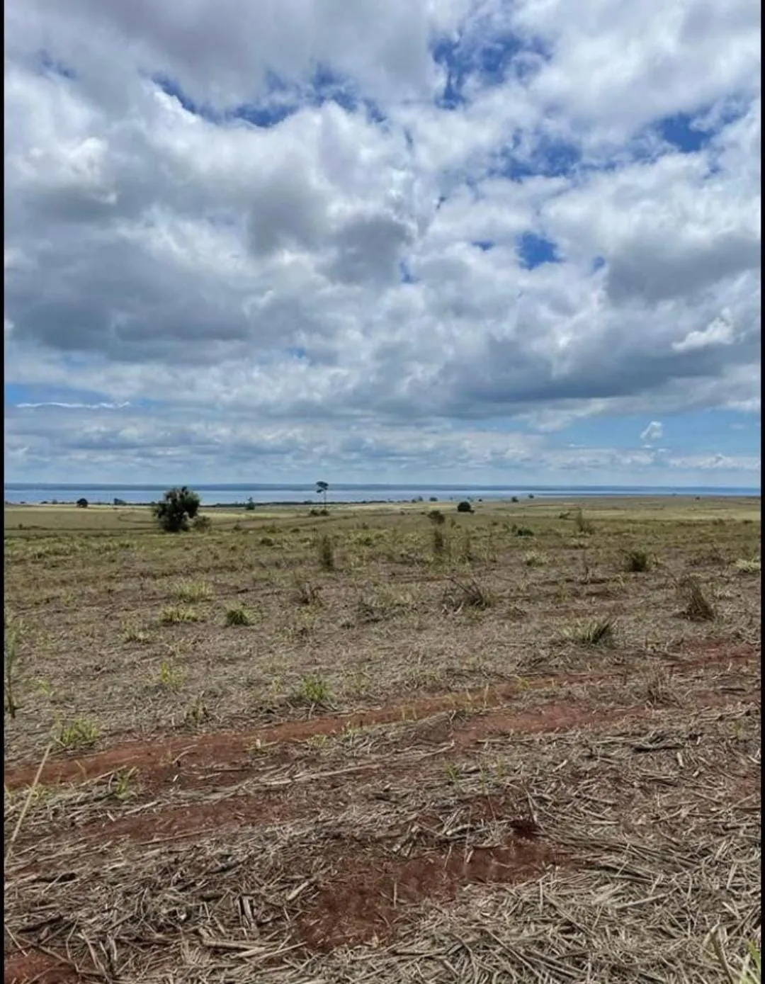 Fazenda à venda de 1.689 ha em Teodoro Sampaio, SP, Brasil