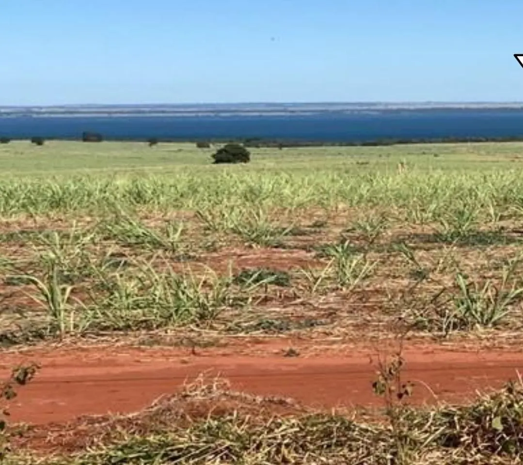Fazenda à venda de 1.689 ha em Teodoro Sampaio, SP, Brasil