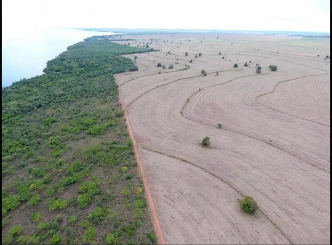 Fazenda à venda de 1.689 ha em Teodoro Sampaio, SP, Brasil