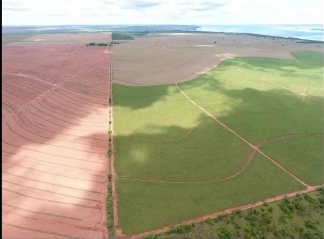 Fazenda à venda de 1.689 ha em Teodoro Sampaio, SP, Brasil