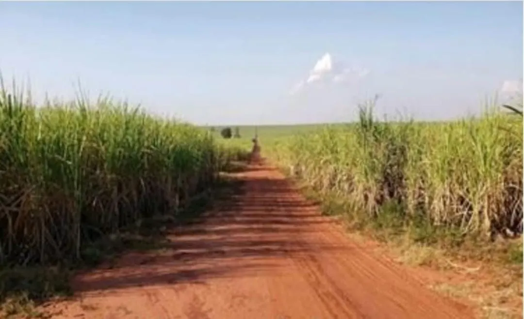 Fazenda à venda de 1.689 ha em Teodoro Sampaio, SP, Brasil