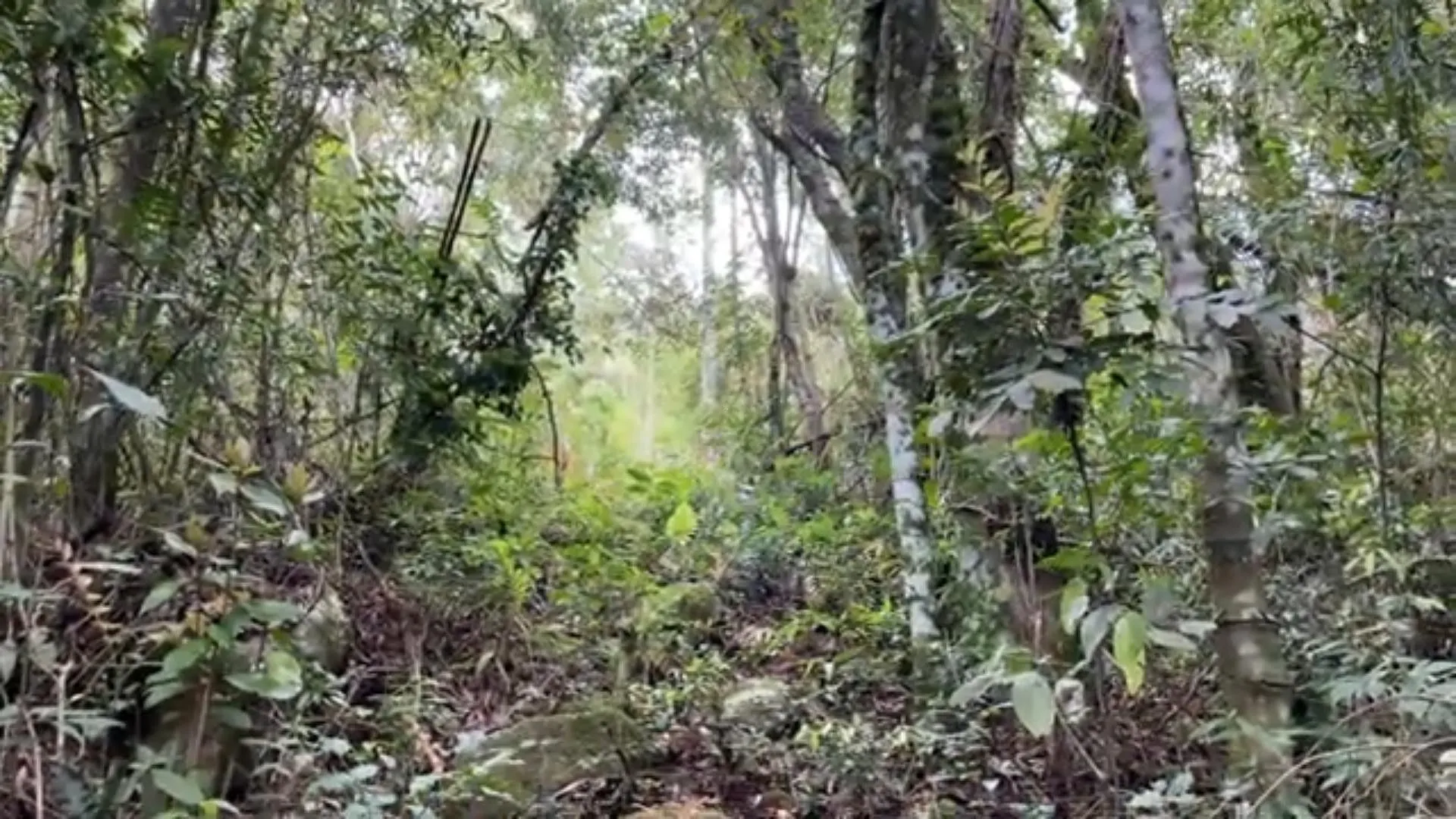 Country home for sale of 14 acres in Caraá, RS, Brazil