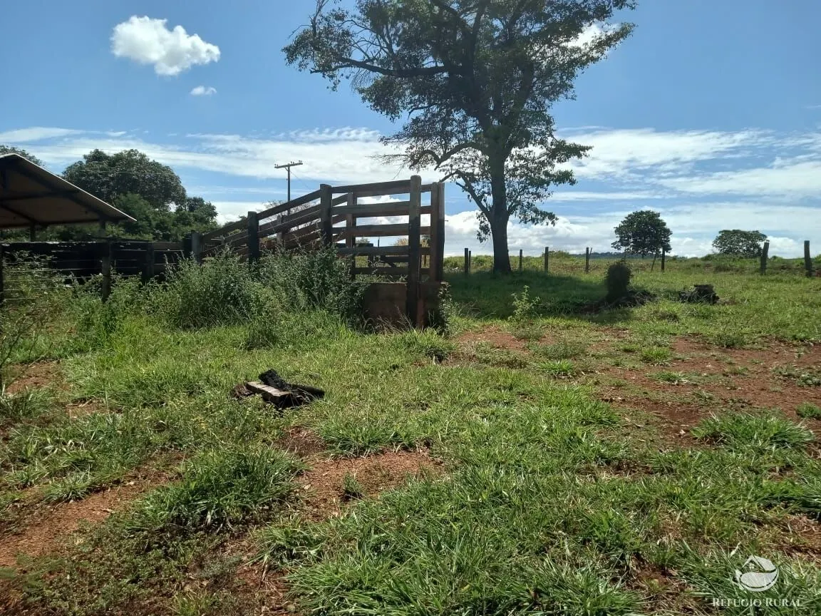 Fazenda à venda de 96 ha em Uberlândia, MG, Brasil