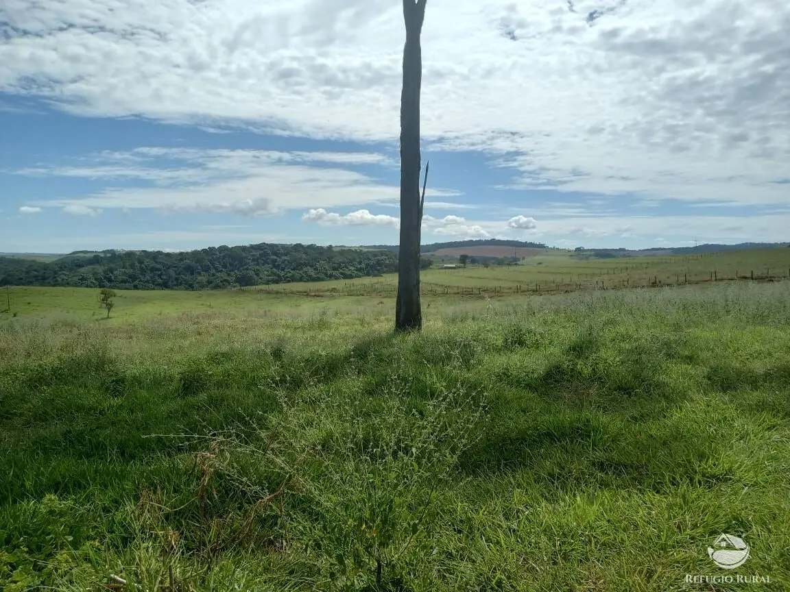Fazenda à venda de 96 ha em Uberlândia, MG, Brasil