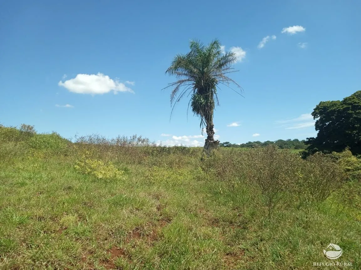 Fazenda à venda de 96 ha em Uberlândia, MG, Brasil