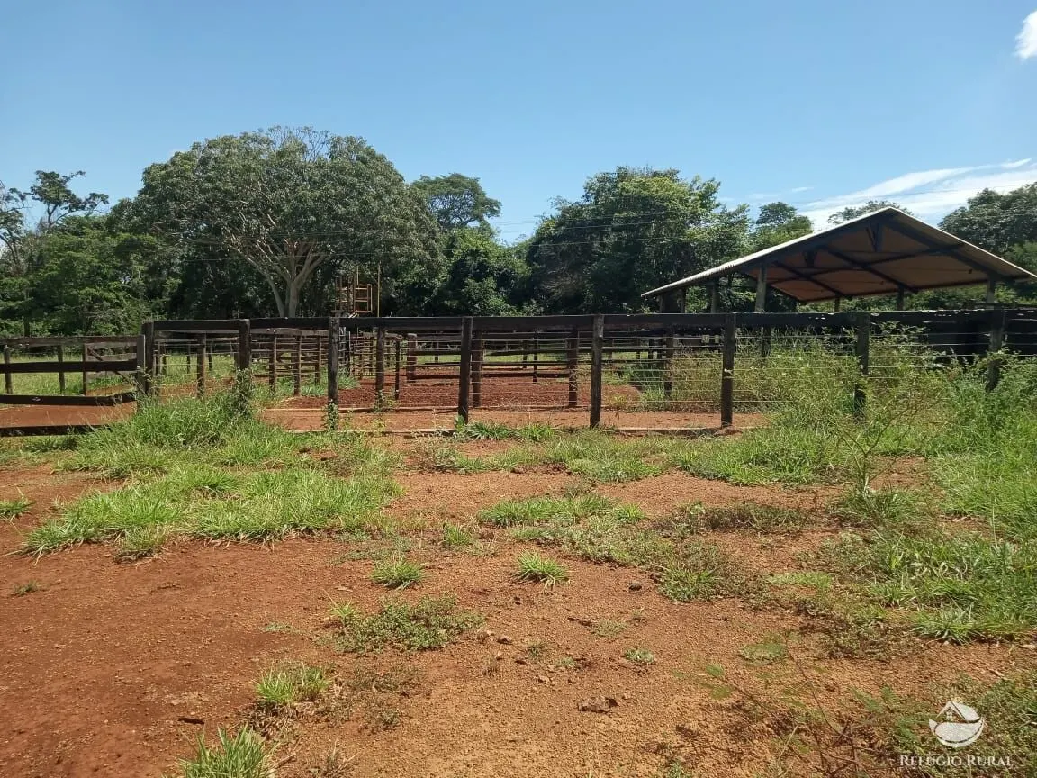 Fazenda à venda de 96 ha em Uberlândia, MG, Brasil