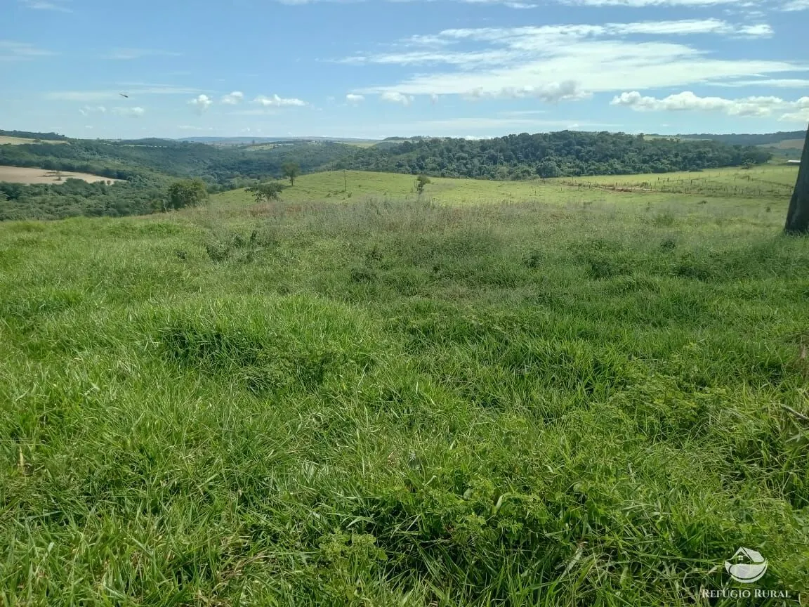 Fazenda à venda de 96 ha em Uberlândia, MG, Brasil