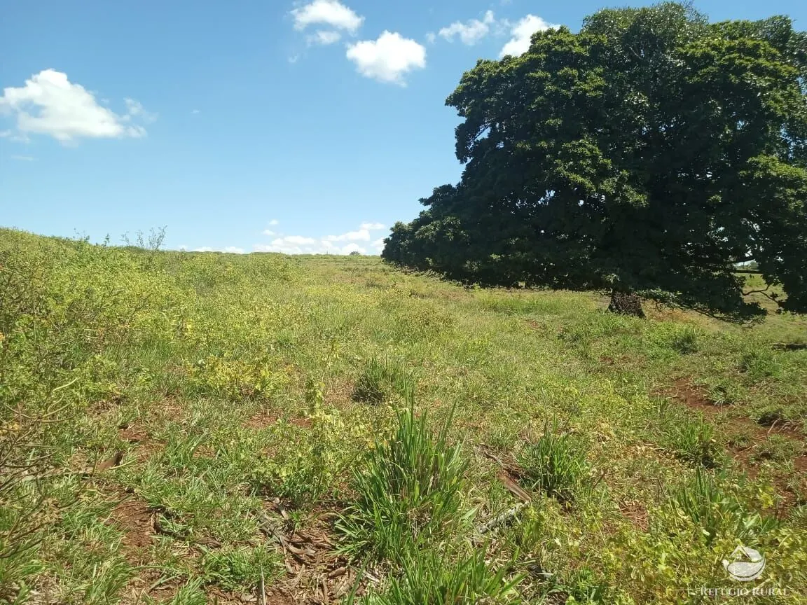 Fazenda à venda de 96 ha em Uberlândia, MG, Brasil