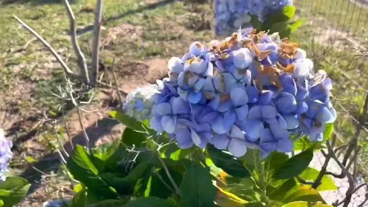 Chácara à venda de 1.800 m² em Osório, RS, Brasil